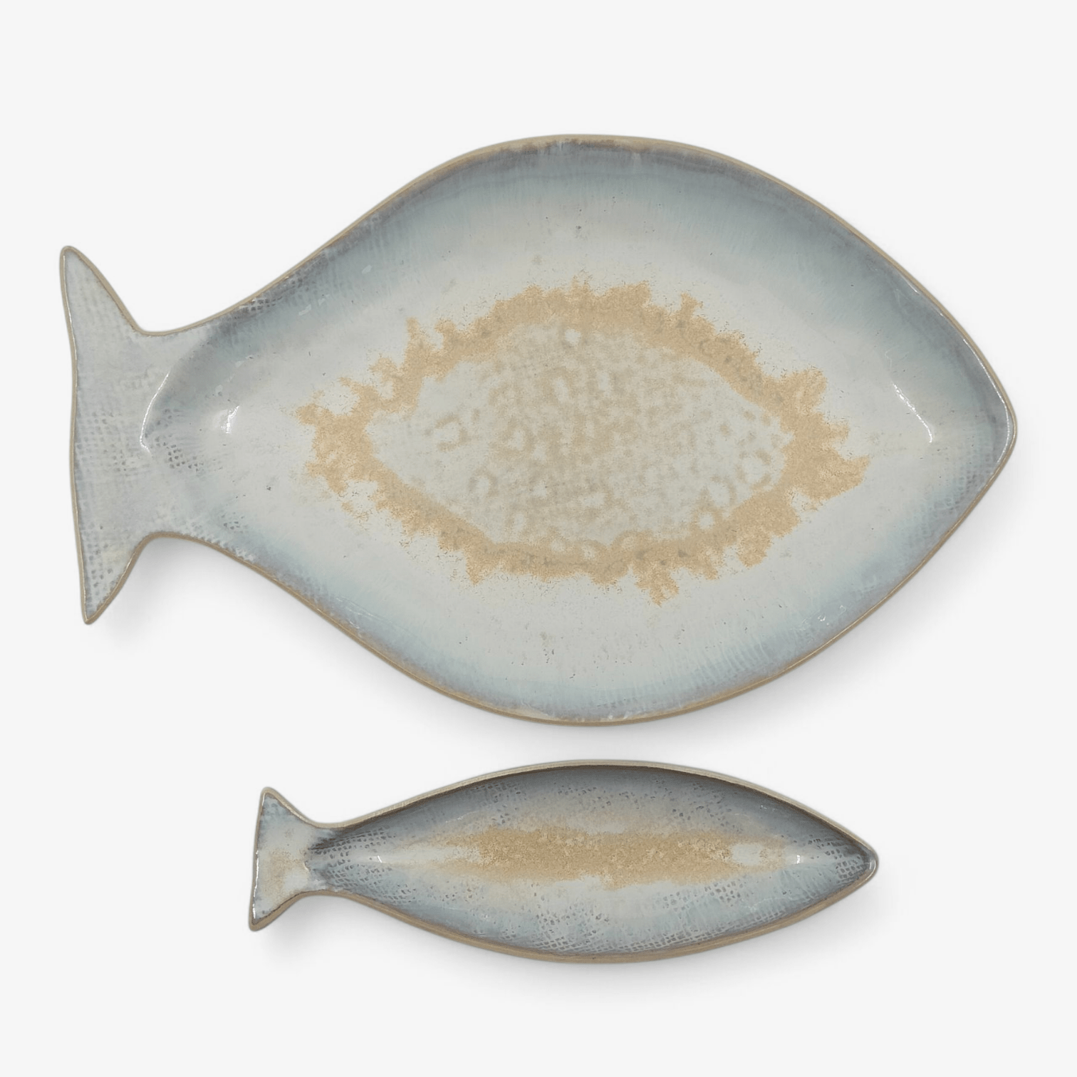 Costa Nova - Zeebaars Schaal Dori - Parelmoer (31 cm) - Schaal - BUVV Home