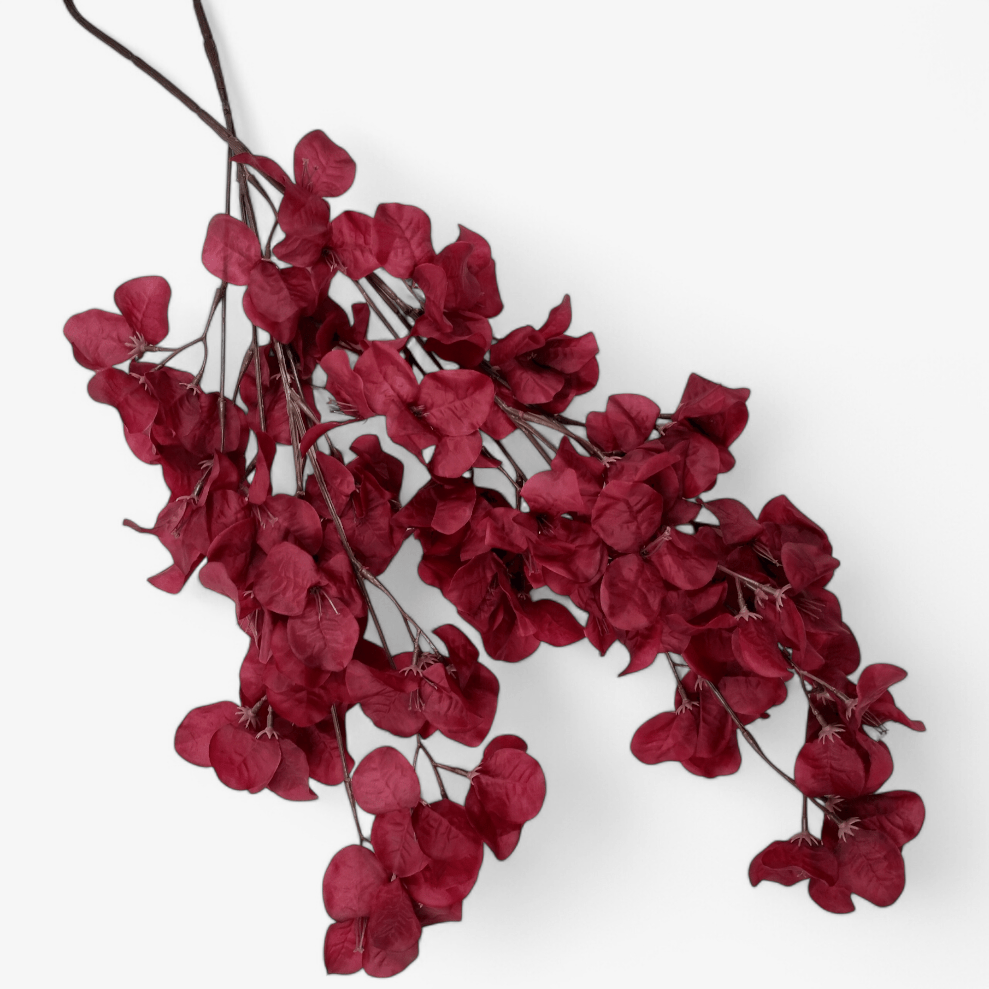 Flower Red Ochre - Droogbloemen - BUVV Home