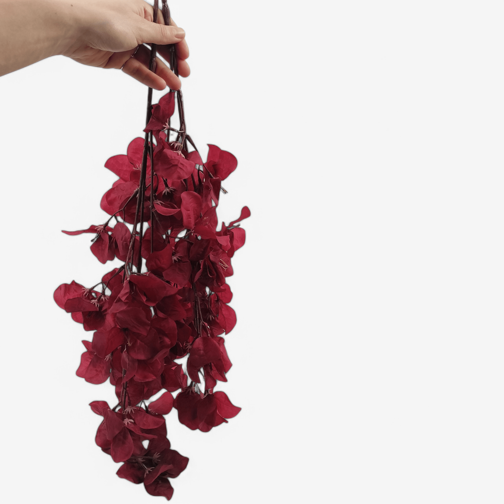 Flower Red Ochre - Droogbloemen - BUVV Home