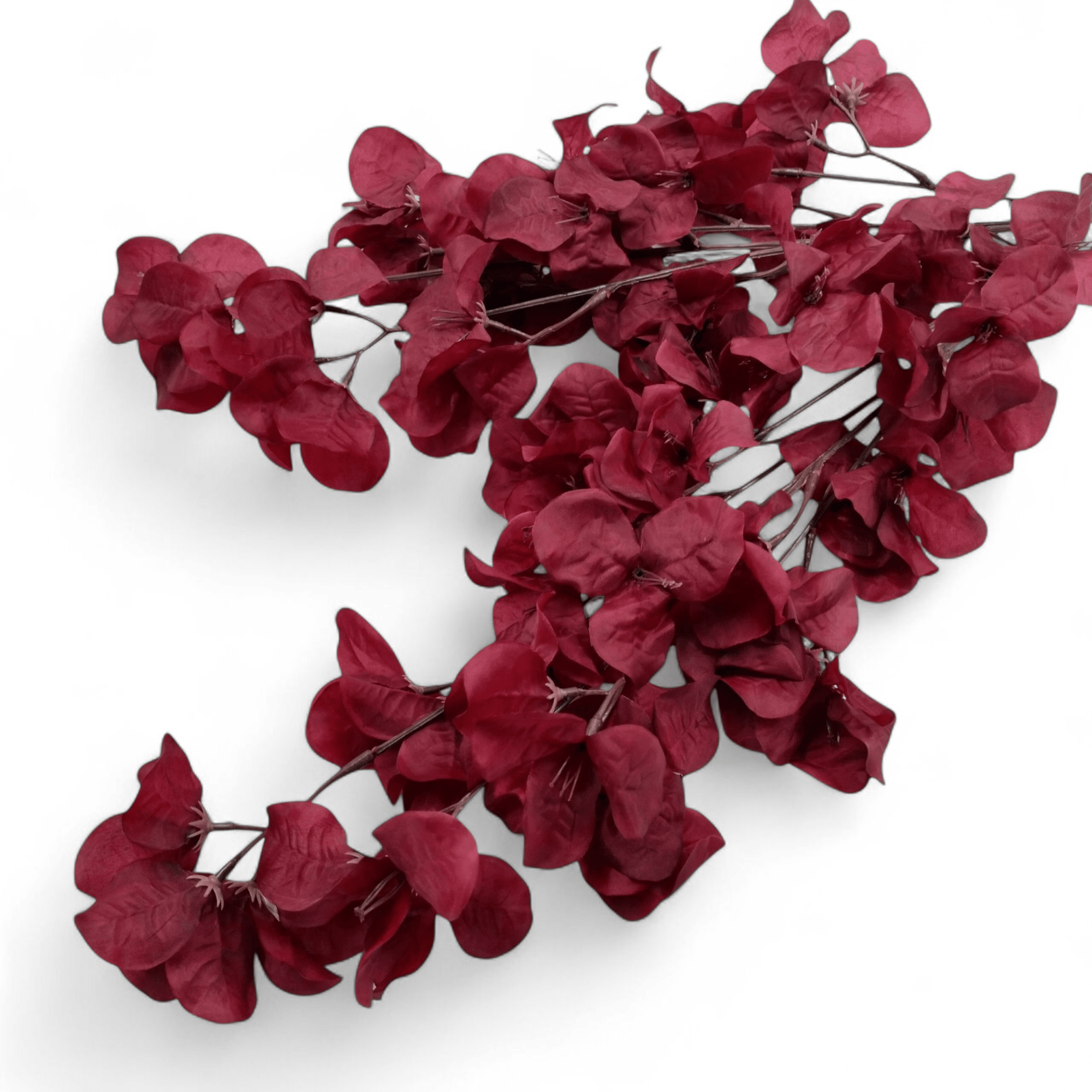 Flower Red Ochre - Droogbloemen - BUVV Home