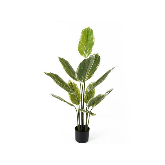 Kunstplant Calathea Groot - Kunstplant - BUVV Home