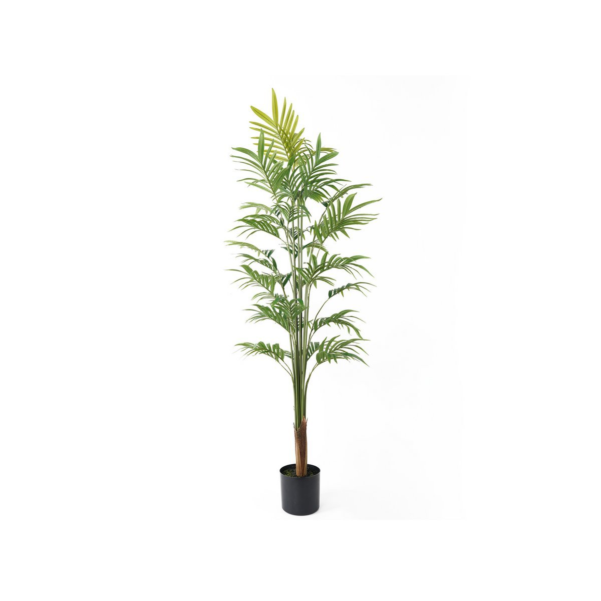 Kunstplant Goudpalm Groot - Kunstplant - BUVV Home