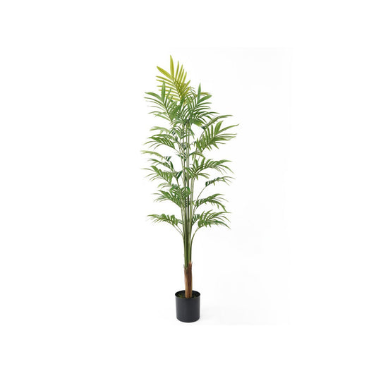 Kunstplant Goudpalm Groot - Kunstplant - BUVV Home