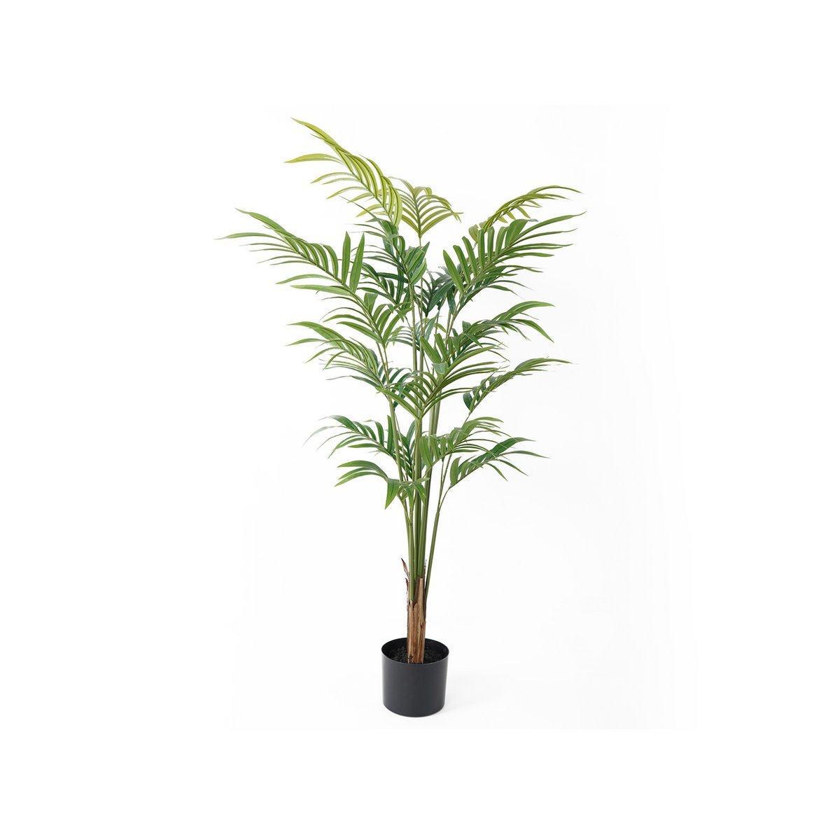 Kunstplant Palmboom - Kunstplant - BUVV Home