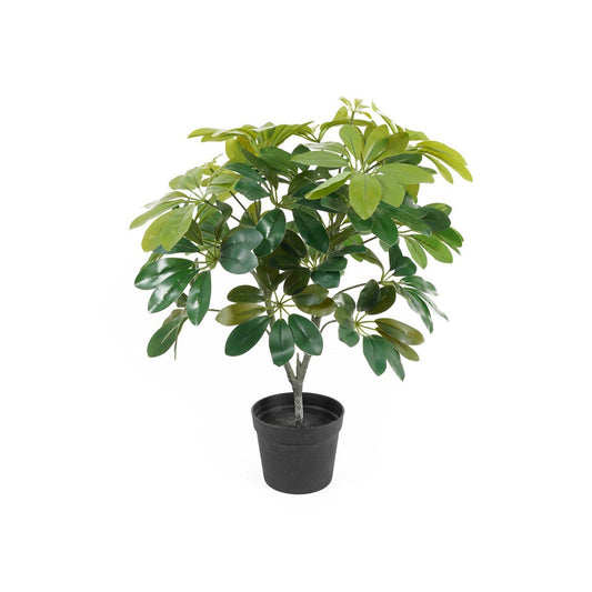 Kunstplant Schefflera - Kunstplant - BUVV Home
