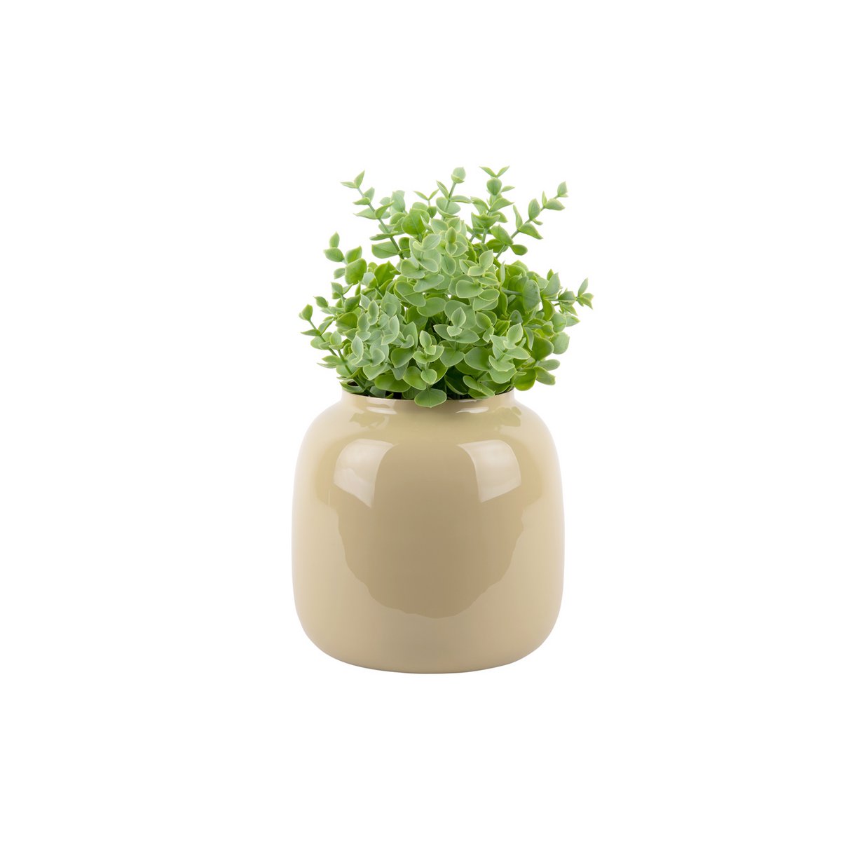Vaas Ivy Medium - Vaas - BUVV Home