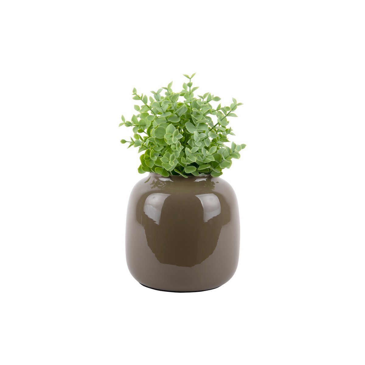 Vaas Ivy Mosgroen - Medium - Vaas - BUVV Home